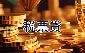 安庆税票贷